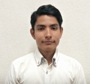 Asistente de Logística